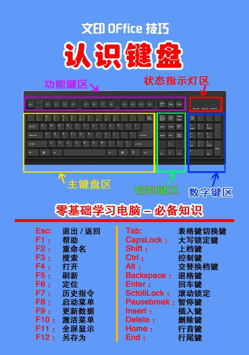 新手学电脑先学什么「电脑基础操作基础知识有哪些」 电脑基础 新手学电脑先学什么「电脑基础操作基础知识有哪些」 新手学电脑先学什么「电脑基础操作基础知识有哪些」 电脑基础