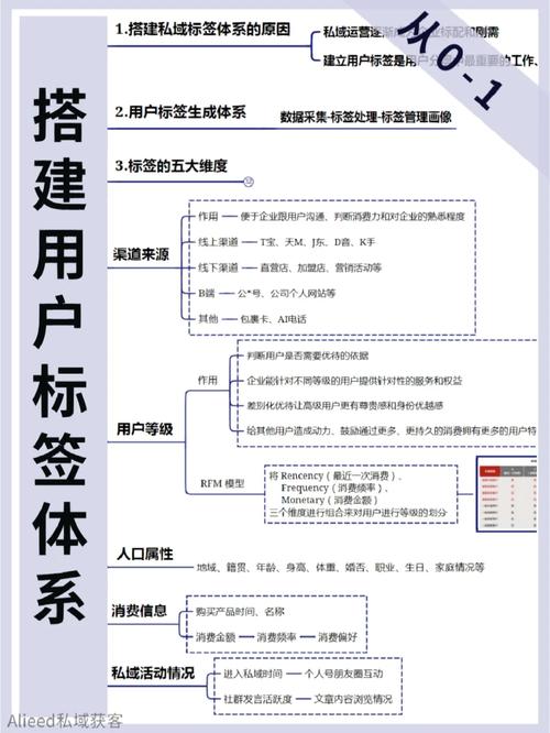 网站设计标签分析,构建用户友好的信息平台 网站设计标签分析,构建用户友好的信息平台 电脑基础