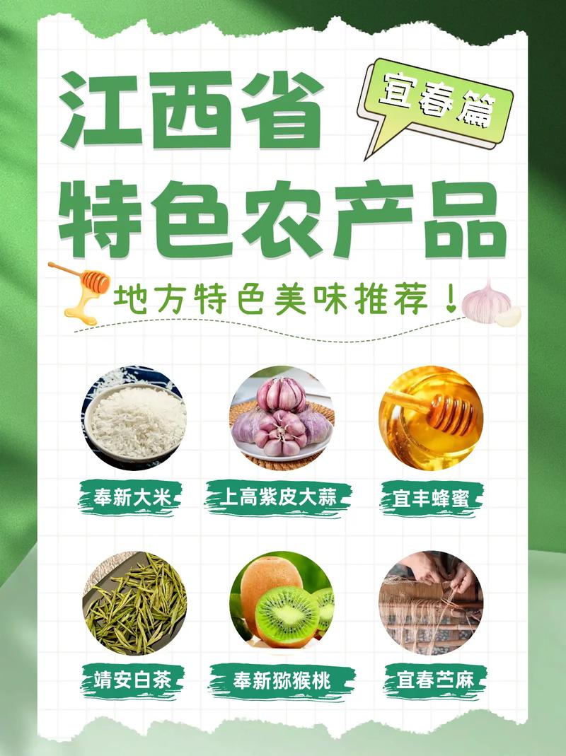 宜春奉新SEO,打造区域品牌,提升网络影响力 网络技术 宜春奉新SEO,打造区域品牌,提升网络影响力 宜春奉新SEO,打造区域品牌,提升网络影响力 网络技术