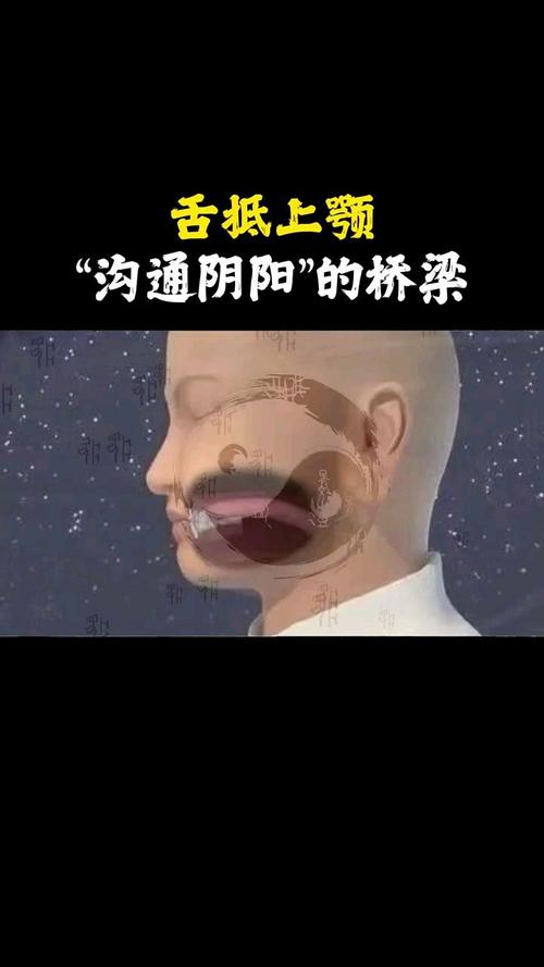 乌尔都语,一种独特的文化符号与沟通桥梁 乌尔都语,一种独特的文化符号与沟通桥梁 电脑基础