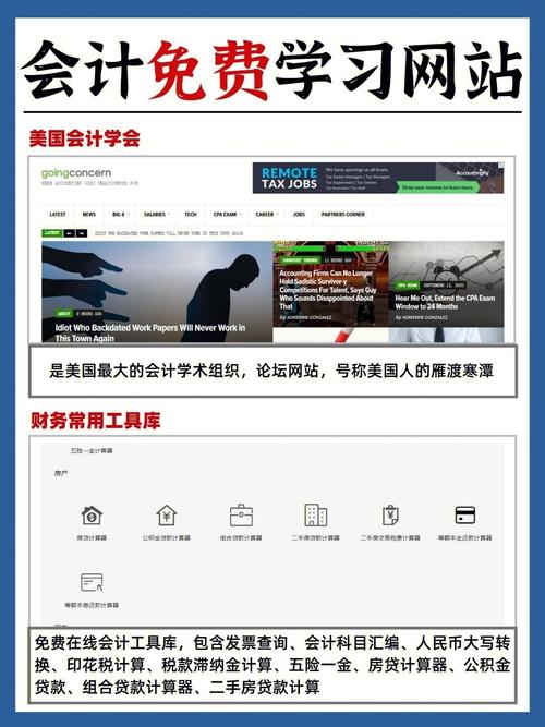 介绍会计9大网站,数字经济的守护者与引领者 介绍会计9大网站,数字经济的守护者与引领者 网络技术